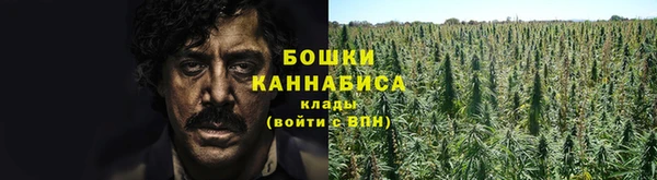 PSILOCYBIN Нея