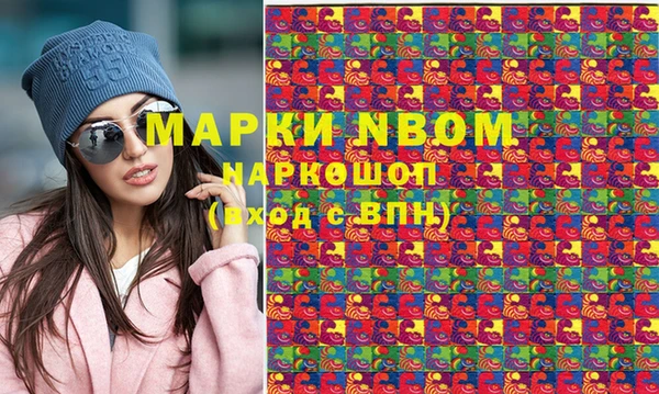прущие грибы Новокубанск