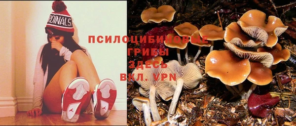 эйфоретик Новодвинск