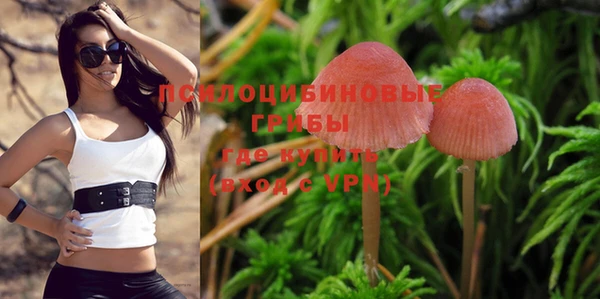 эйфоретик Новозыбков