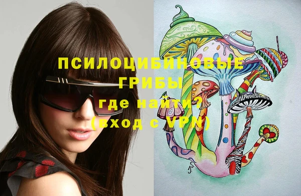 PSILOCYBIN Нея