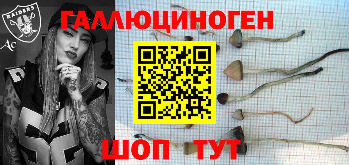 Галлюциногенные грибы Cubensis Ейск